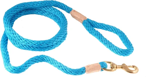 Vista 219 de Alvalley Correa para perros estilo broche – Correa de nailon estilo broche para perros – Fácil de manejar – Perfecto para perros pequeños, medianos