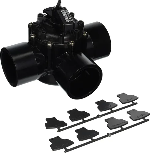 Vista 2 de Jandy Piezas originales 2 puertos 2.5"-3" Jandy Genuine Parts Valve Packout Assembly, 4718