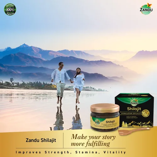 Vista 5 de Zandu Resina Shilajit del Himalaya Suplemento natural a base de plantas para energía, fuerza y rendimiento físico Apoya el estilo de vida activo
