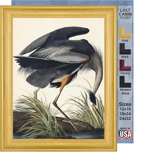 Vista 24 de Lost Cabin American Flamingo por James Audubon Impresión en marco biselado negro Reproducción de pintura de obras de arte finas Póster