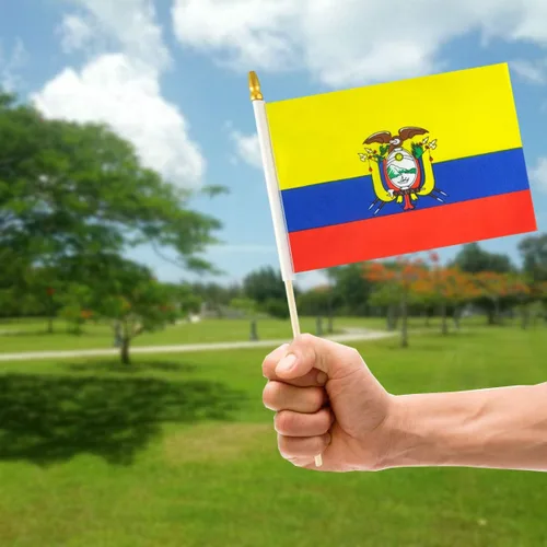 Vista 6 de QQSD Banderas de mano pequeñas de Ecuador con palo ecuatoriano, poste de madera maciza con punta de lanza, paquete de 12