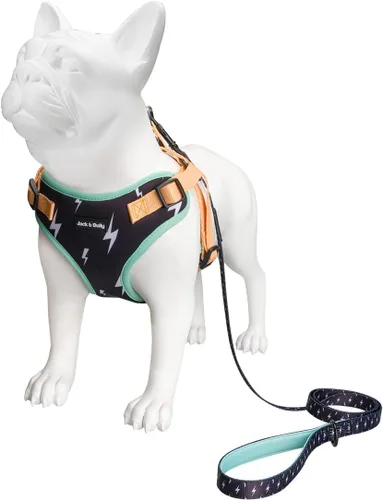 Vista 4 de Jack & Bully Arnés para perro, chaleco sin tirones, de neopreno ajustable, suave con malla transpirable, para todo tipo de clima, bulldog francés