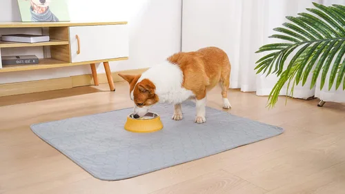 Vista 6 de Almohadillas lavables para orina de perro, acolchadas y reutilizables para perros, almohadillas de parto para cama de perro, alfombrillas
