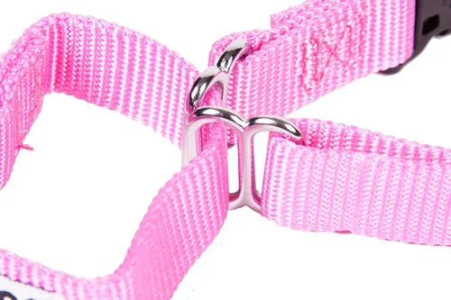 Vista 6 de GoGo Pet Products GoGo - Collar de perro Martingala de 3/4 pulgadas, mediano, color rosa Rosado