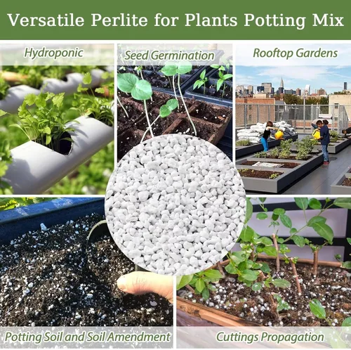 Vista 7 de Riare Perlita orgánica de 2 cuartos de galón para plantas, enmienda de suelo de perlita hortícola para plantas, mezcla de macetas, acondicionador