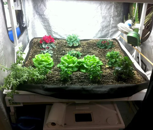 Vista 4 de Smart Pot Forro de bandeja, inundación de cama elevada, 4 pies x 8 pies (48 pulgadas x 96 pulgadas)