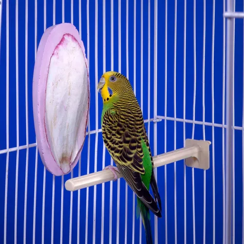 Vista 6 de Penn-Plax Bird-Life 2 en 1 E-Cuttlebone & Mineral Block - Sabor a plátano y bayas - Ideal para todas las aves - Paquete de 2