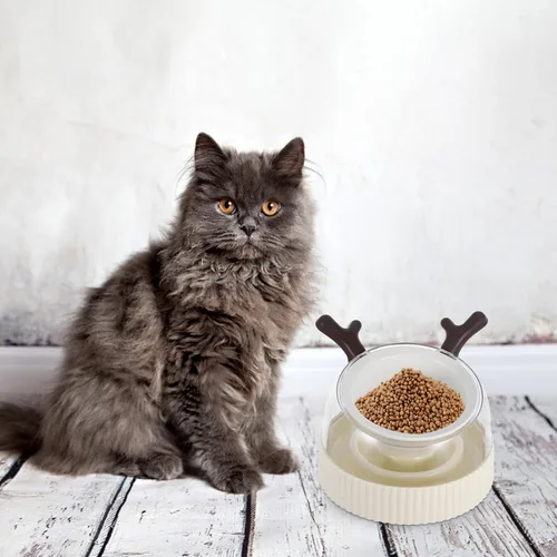 Vista 5 de Ceramic Slow Feeder Bowl for Cats and Small Dogs, Tilted Raised Dish