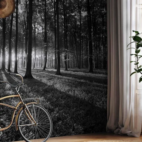 Vista 80 de artgeist Mural de pared premium Bosque púrpura, 79 x 55 pulgadas, papel tapiz no tejido, decoración de pared de vellón, impresión fotográfica