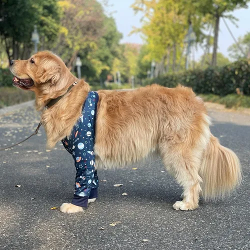 Vista 2 de Protector de codo para perro, manga larga para recuperación de articulaciones del perro, manga larga para evitar lamer heridas, coderas largas