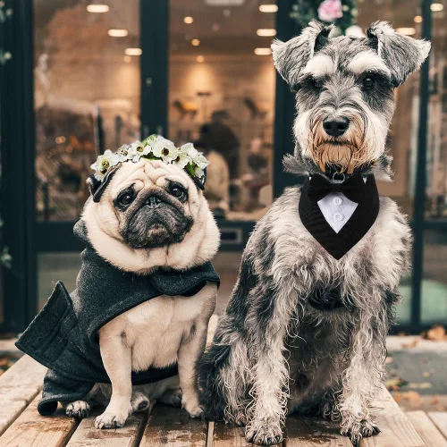 Vista 5 de Bandana de esmoquin, collar ajustable para mascotas con lazo para perros pequeños, medianos y grandes, ropa formal de boda, regalos de cumpleaños