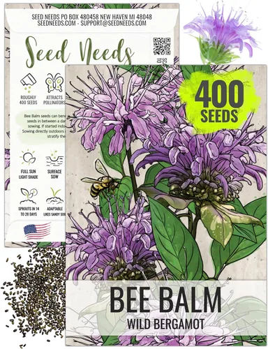 Vista 19 de Seed Needs Semillas de limón y menta para plantar hierbas anuales sin OMG, 1 paquete