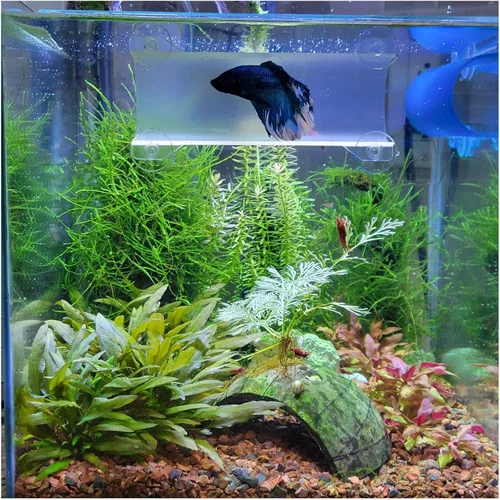 Vista 13 de Marca Betta Tunnel (negro opaco)