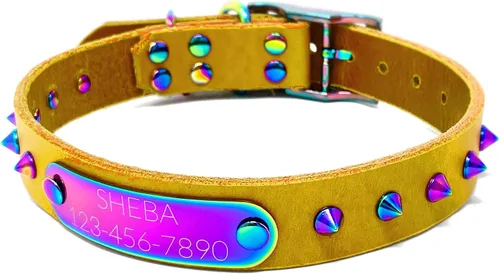 Vista 17 de Collar de perro de cuero con brida hecha a mano, grabado arco iris de acero inoxidable (negro)