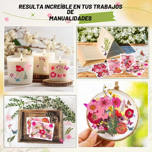 Vista 7 de 160 piezas de flores secas prensadas a granel natural, rosa, rosa