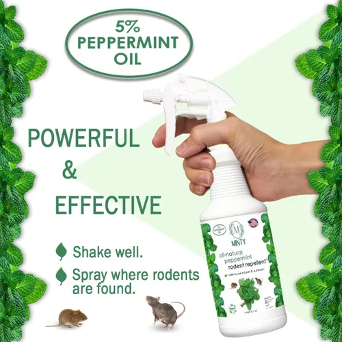 Vista 3 de Minty Repelente de roedores, espray de aceite de menta natural al 5% para ratones, ratas, ardillas y roedores, en interiores y exteriores, uso