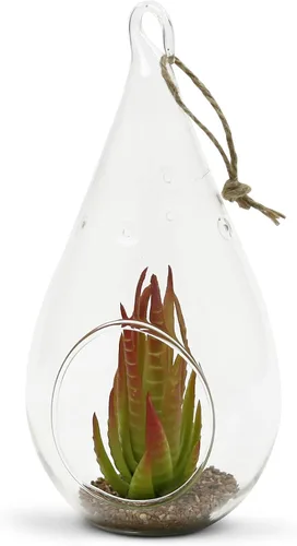 Vista 4 de WGV - Planta colgante de vidrio terrario a granel, ancho 3.5 pulgadas, altura 7 pulgadas, lágrima de bricolaje, maceta de aire para suculentas, luz