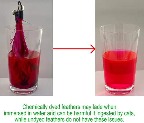 Vista 3 de Juguetes para gatos EcoCity - Juguetes de plumas para gatos sin teñido químico para gatos de interior - Incluyen varita para gatos y recambios