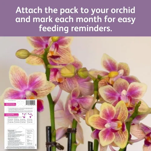 Vista 9 de Chrysal Gotas de Alimento para Orquídeas — Cuidado de Orquídeas — Un Paquete para un Suministro de un Año — Alimento Floral Concentrado para Todas