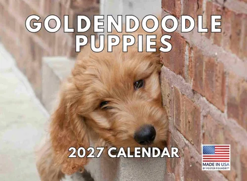 Vista 128 de Calendario mensual de pared Airedale Terrier Dog 2027
