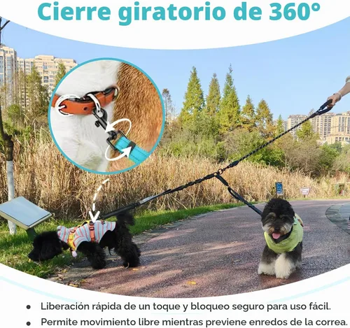 Vista 4 de Correa doble para perro, divisor sin enredos para dos perros, acoplador con cuerda de plomo larga ajustable, asas de control dual, elástico Azul
