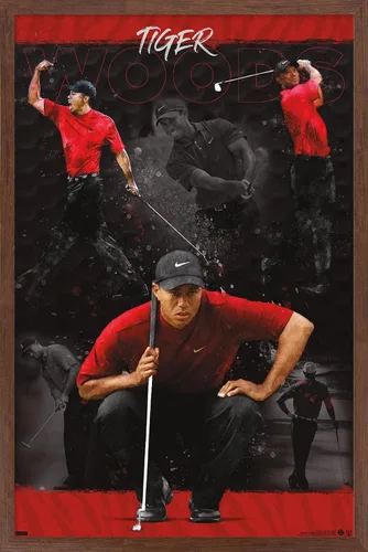 Vista 10 de Trends International Tiger Woods - Póster de pared de bosquejo, 14.725 x 22.375 pulgadas, versión enmarcada de madera de granero