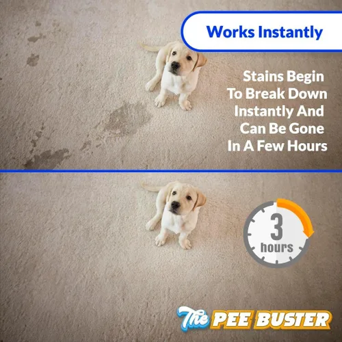 Vista 3 de Removedor de manchas para mascotas, botella de limpieza recargable con 5 tabletas solubles, limpiador multisuperficie para orina de perro y gato