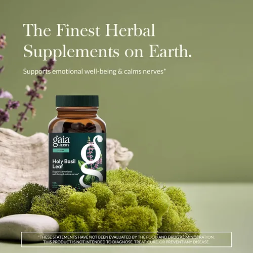 Vista 7 de Gaia Herbs Hongos de melena de león – Apoyo a la salud del cerebro y los nervios* – 120 fito-cápsulas líquidas veganas y hoja de albahaca sagrada