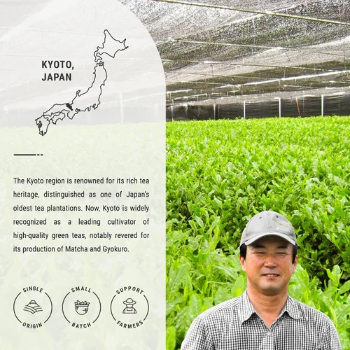 Vista 3 de Senbird Polvo de Hojicha Premium – Matcha tostado japonés de Kioto, Japón – Té en polvo en lata hermética (1.06 oz/30g)
