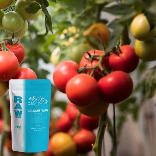 Vista 4 de RAW Calcio/Mag 2oz - Combo esencial para la salud vegetal - Aumenta la fuerza celular y la absorción de nutrientes