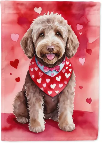 Vista 215 de Caroline's Treasures DAC5252GF Affenpinscher - Bandera de jardín con texto en inglés "My Valentine", bandera decorativa para patio exterior, patio
