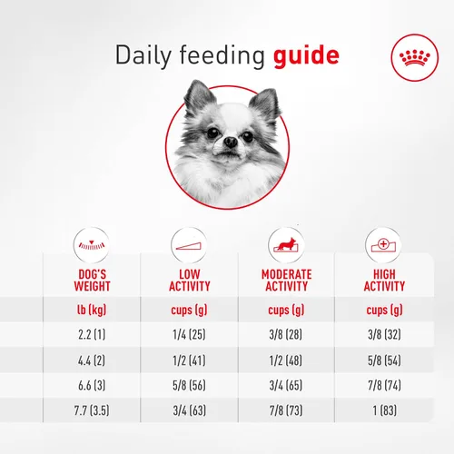 Vista 10 de Royal Canin Chihuahua - Alimento seco específico para perros de raza adulta, bolsa de 2.5 libras Breed Specific Nutrition, Supports Healthy