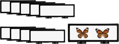 Vista 22 de Restaurantware Display Tek - Vitrinas flotantes de 2.8 x 2.8 pulgadas, 10 carcasas de exhibición de marco, se venden por separado, vitrinas