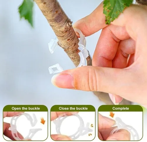 Vista 6 de Clip de plástico seguro para plantas, clips de soporte para plantas, clips de jardín reutilizables, clips de fijación de plantas, clips de fijación