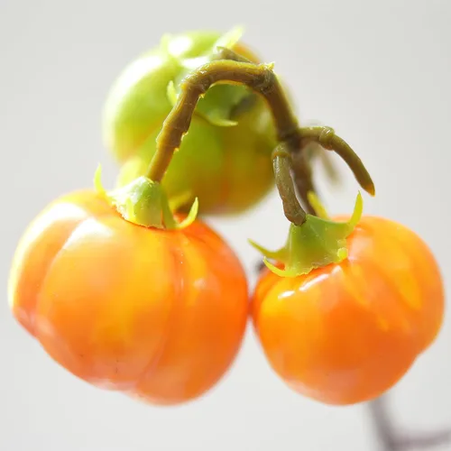 Vista 6 de FiveSeasonStuff Mini tallos artificiales de calabaza, albaricoque naranja claro, púas de otoño de 19 pulgadas para centros de mesa, ramos