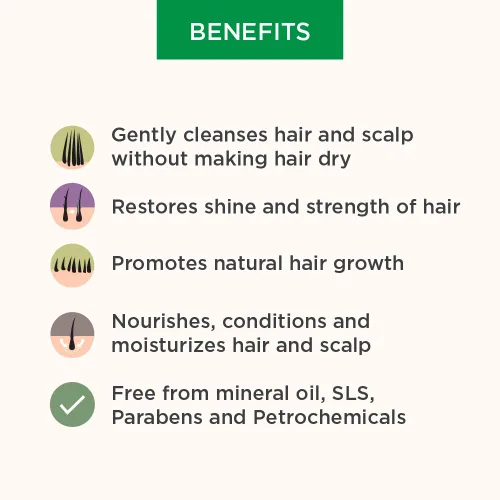 Vista 6 de Dhathri Dheedhi Hair Care Champú de hierbas 6.8 fl oz