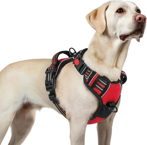 Vista 31 de Rabbitgoo - Arnés para perro de tamaño pequeño, arnés para mascotas sin tirones con 3 hebillas, chaleco acolchado suave ajustable con mango