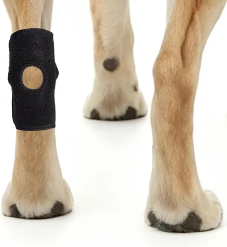 Vista 7 de Soporte de pierna de perro para articulación de corvejón, envoltura de soporte de compresión (XL)