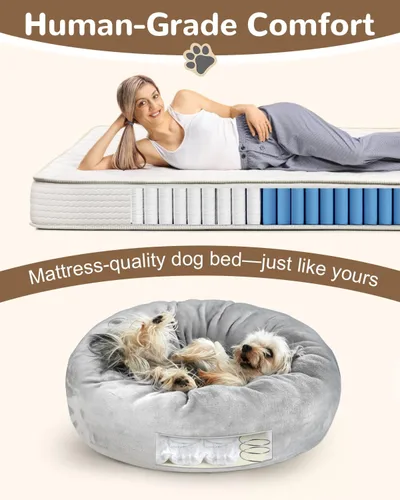 Vista 4 de Camas ortopédicas para perros pequeños de 20 pulgadas, cama para perros pequeños con bobinas en bolsillos y soporte de espuma suave, cama