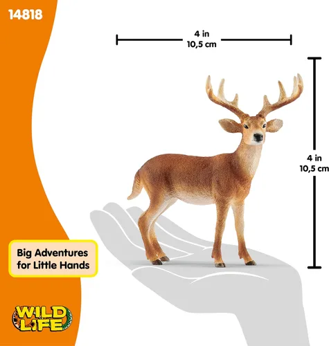 Vista 5 de Schleich Wild Life, Figura de Animal, Juguetes de Animales para Niños y Niñas de 3-8 Años de Edad, Venado de Cola Blanca, Edades 3+