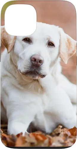 Vista 7 de Labrador Retriever Dog Lover - Carcasa para iPhone 17