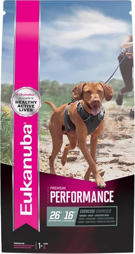 Vista 12 de Eukanuba Alimento seco para perros adultos de alto rendimiento 26/16, bolsa de 4.5 libras