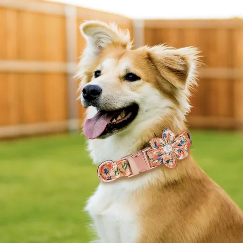 Vista 2 de TDTOK Collar de perro femenino para perros pequeños, medianos y grandes, lindo collar de perro con hebilla de seguridad metálica desmontable