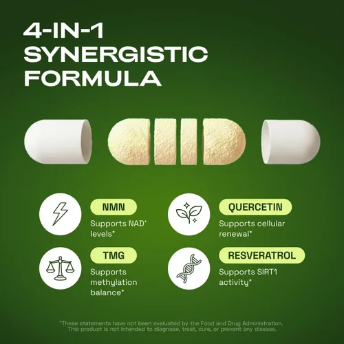 Vista 2 de Cata-Kor Suplemento NMN - Suplemento NAD 4 en 1 con quercetina TMG Resveratrol - Alternativa NMNH - Apoya la energía celular y el nivel de NAD+