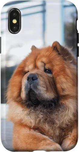 Vista 5 de Funda Chow Chow Chow para iPhone 15 Pro Max