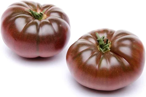 Vista 5 de Semillas Black Prince Tomate Indeterminado Variedad Rara Verdadero Tomate Siberiano Sin OGM Heirloom
