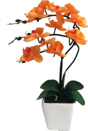 Vista 9 de Arreglos de macetas de plantas de flores de orquídea Phalaenopsis de seda artificial de 15 pulgadas de alto (verde manzana)