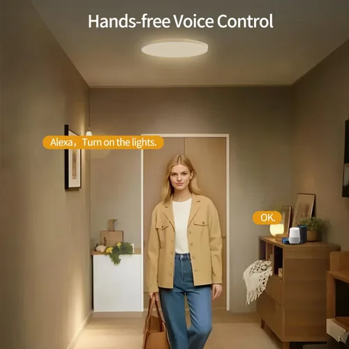 Vista 3 de RGBCW - Luces de techo LED inteligentes que cambian de color, compatible con Alexa Google Home, lámpara de techo empotrada de 24 W, programador