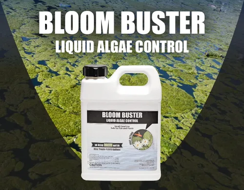 Vista 9 de Bloom Buster Control de algas para estanques de peces y jardines acuáticos, 32 onzas, seguro para peces koi, peces dorados y plantas, controla