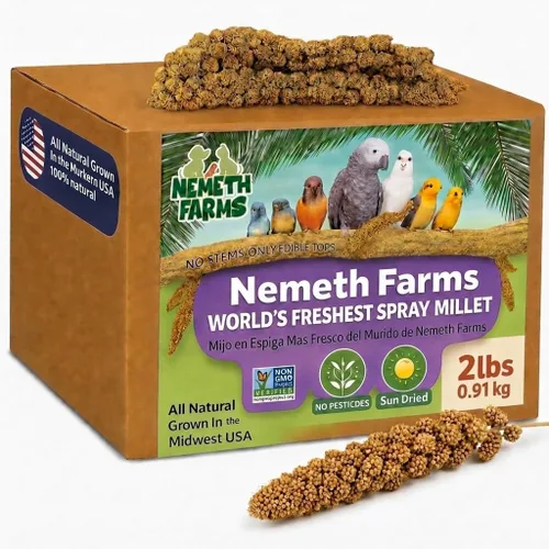 Vista 9 de Nemeth Farms Spray Millet - Tapas comestibles solamente, sin OMG y secado al sol, 1 libra para periquitos, canarios y pinzones